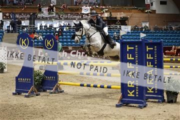 175934_avh_02_7383.JPG