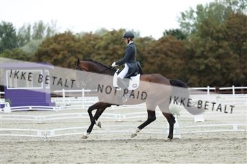 181923_mtp_01_R62_6913.JPG