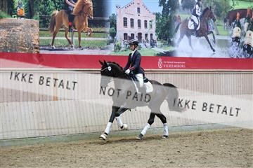 181887_mtp_05_R62_9920.JPG