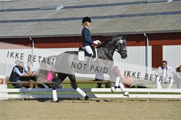 136195_abo_01__AB16663.JPG