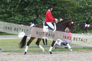 135518_ms_02_IMG_2518.JPG