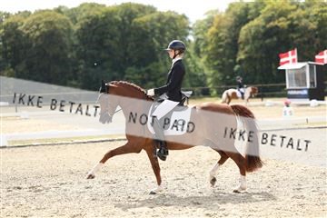 181894_mtp_02_R62_1570.JPG