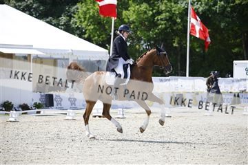 181449_kbb_02_6II0379.JPG