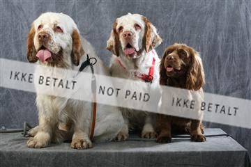 129608_le_ 01_0718.JPG