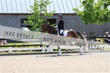 174806_jss_01_R6II0052.JPG