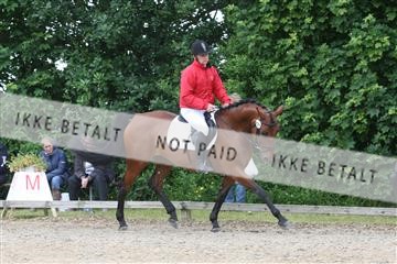 135518_ms_01_IMG_1575.JPG