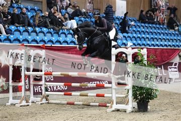 178262_avh_01_R62_7653.JPG