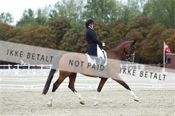 181923_mtp_04_R62_8451.JPG