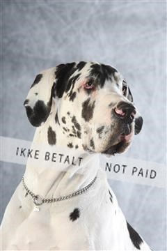 129608_le_ 02_0315.JPG