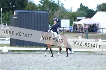 181894_mtp_05_R62_5458.JPG