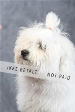 129608_le_ 01_0486.JPG