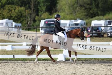 181894_mtp_05_R62_5217.JPG