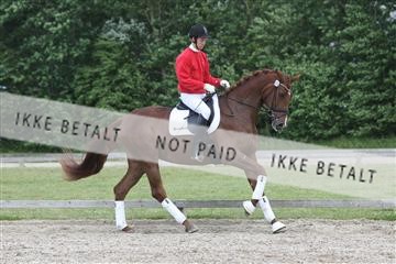 135518_ms_02_IMG_2878.JPG