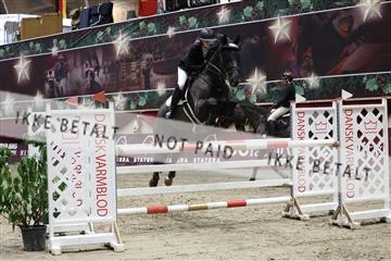 178335_avh_01_2739.JPG