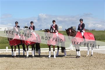 148862_sg_02_IMG_4306.JPG