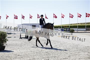 181332_kbb_01_6II4292.JPG