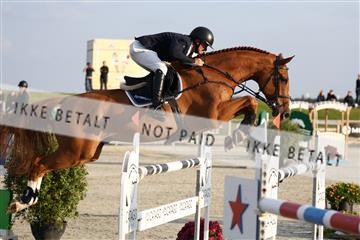 181922_avh_05_2453.JPG