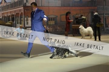 157093_jbr_05__JB20127.JPG