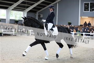 179088_mtp_01_3M5A3260.JPG