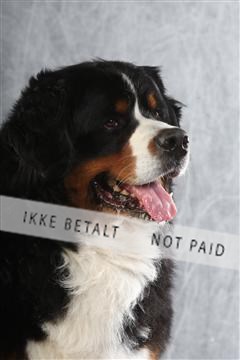 129608_le_ 02_0206.JPG