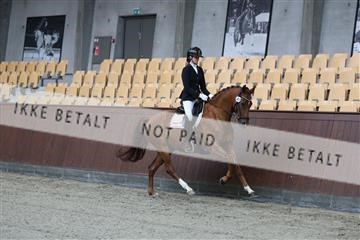 181852_mtp_01_R62_1177.JPG