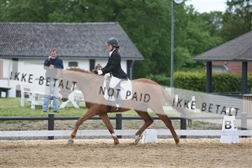 147698_nn_01_IMG_0161.JPG