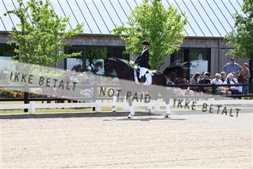 174806_jss_01_R6II0047.JPG