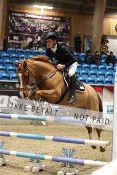 175934_avh_02_7432.JPG