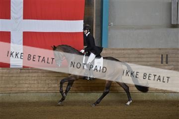 144288_abo_02__AB22927.JPG