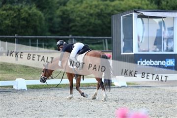 181894_mtp_05_R62_5335.JPG