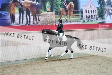 181887_mtp_04_R62_8575.JPG