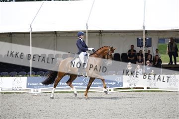 181449_kbb_02_6II1024.JPG