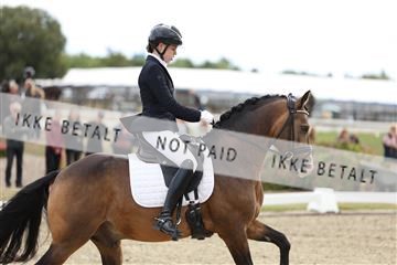 181894_mtp_02_R62_1351.JPG
