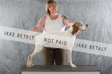 129608_le_ 02_0342.JPG