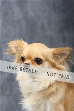 129608_le_ 01_0467.JPG