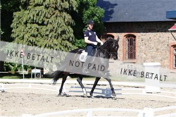 174742_bc_01_R62_2350.JPG