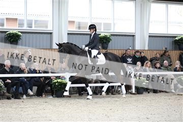 179088_mtp_01_3M5A3722.JPG