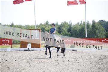 181449_kbb_02_6II1097.JPG