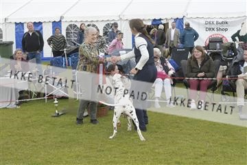 177324_acs_1__JB36051.JPG