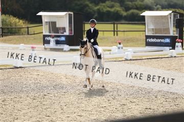 181894_mtp_02_R62_2053.JPG