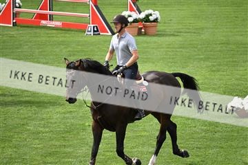 175339_akl_01_Z6D_0136.JPG