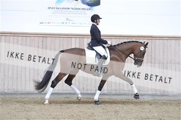 160111_nn_01__ESK2058.JPG
