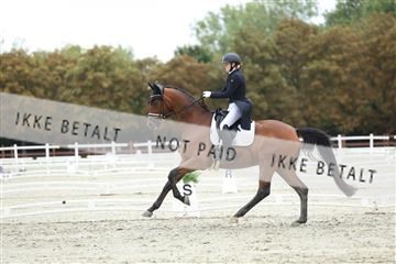 181923_mtp_04_R62_9164.JPG