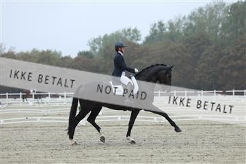 181923_mtp_03_R62_7731.JPG