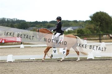 181894_mtp_03_R62_2953.JPG