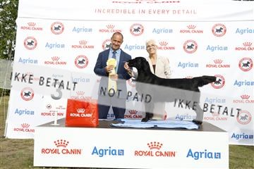 181848_kar_01__62_1246.JPG