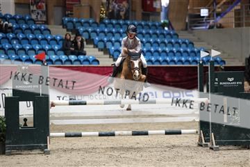 175934_avh_02_7618.JPG