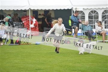 175267_bkn_01__JBR0206.JPG