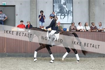 181852_mtp_05_R62_3112.JPG