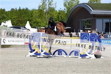 181436_avh_02_3790.JPG